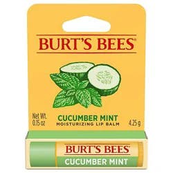 Burt's Bees Cucumber Mint Moisturizing Lip Balm - 1 Count