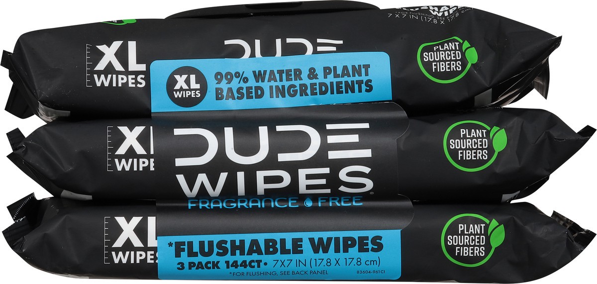 slide 6 of 11, Dude Wipes Flushable 3 Pack - 144 Count, 3 ct; 48 ct