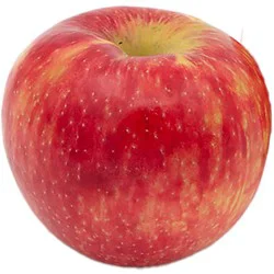 Cosmic Crisp Apple