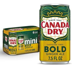 Canada Dry Bold Ginger Ale 6-7.5fz