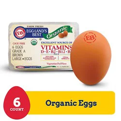 Egglands Best Organic Large Brown Eggs - 6 Count
