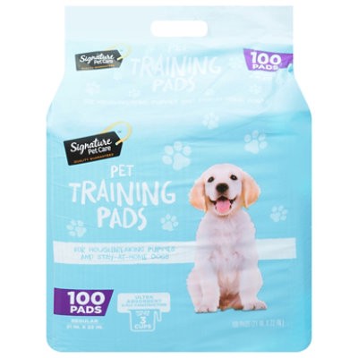 slide 1 of 1, Signature Pet Care Training Pads Regular - 100 Count, 100 ct