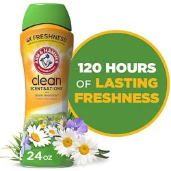 Arm & Hammer Clean Meadow Clean Scentsations In Wash Scent Booster - 24 Oz