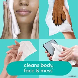 Pampers Baby Wipes Expressions Fresh Bloom Scent 1x Pop Top Packs - 56 Count