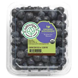 Blueberries Prepacked Dry Pint Organic