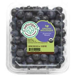 Organic Blueberries Prepackaged - 1 Pint