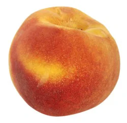 Small Yellow Eastern Peach