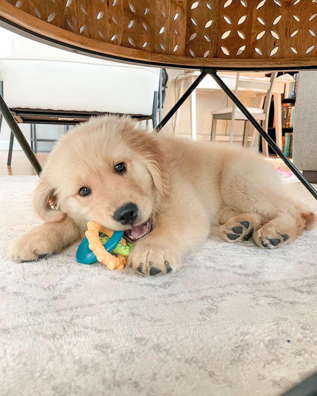 slide 9 of 10, Nylabone Puppy Power Chew Puppy Teething Rings Bacon Yellow Small/Regular - Up to 25 Ibs.(1 Count), 1 ct