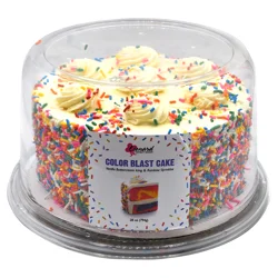 7" Double Layer Rainbow Colorblast Cake