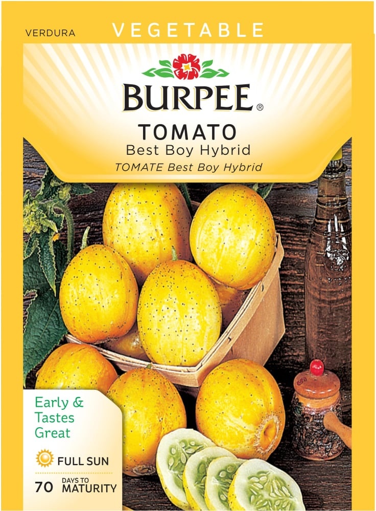 slide 1 of 1, Burpee Tomato Best Boy Hybrid Seeds, 1 ct