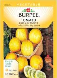 Burpee Tomato Best Boy Hybrid Seeds