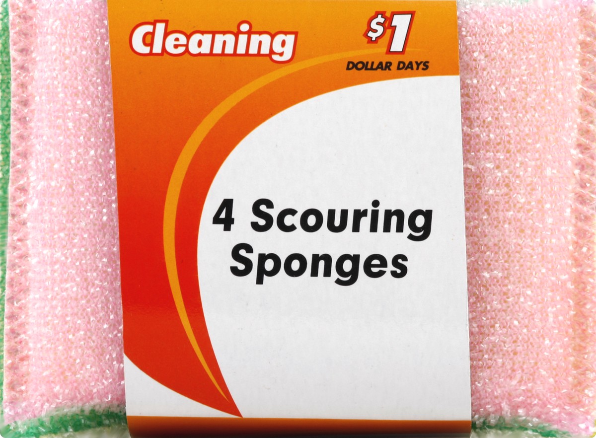 slide 4 of 5, Kingsbridge International Scouring Sponges 4 ea, 4 ct