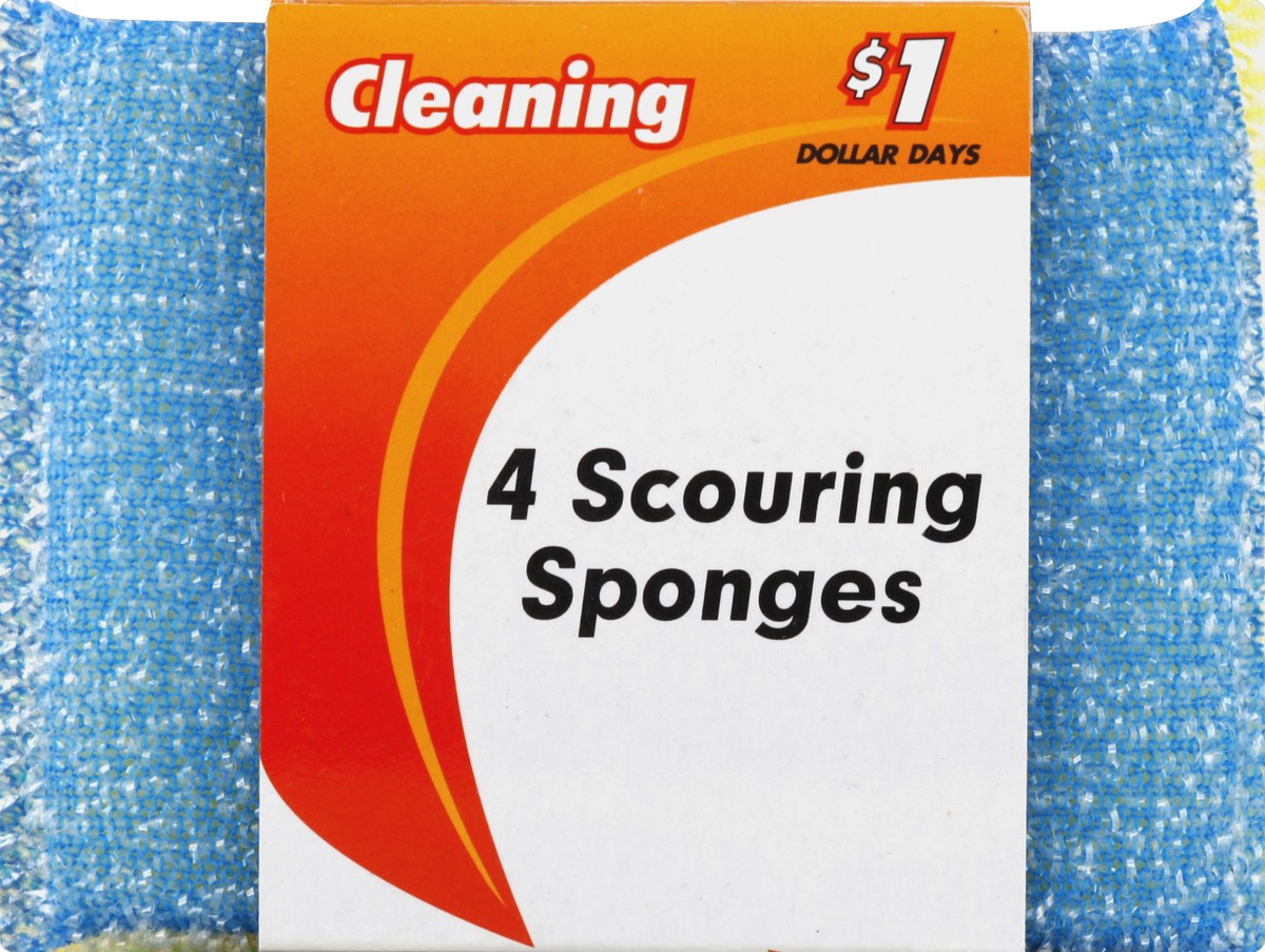 slide 5 of 5, Kingsbridge International Scouring Sponges 4 ea, 4 ct