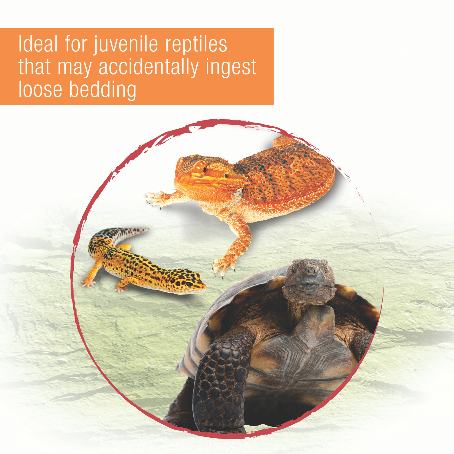 slide 4 of 5, Zilla Reptile Terrarium Liners Green 10/20X Gallon, 1 ct