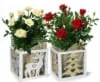 Rose Winter Cutout Box - 4 in