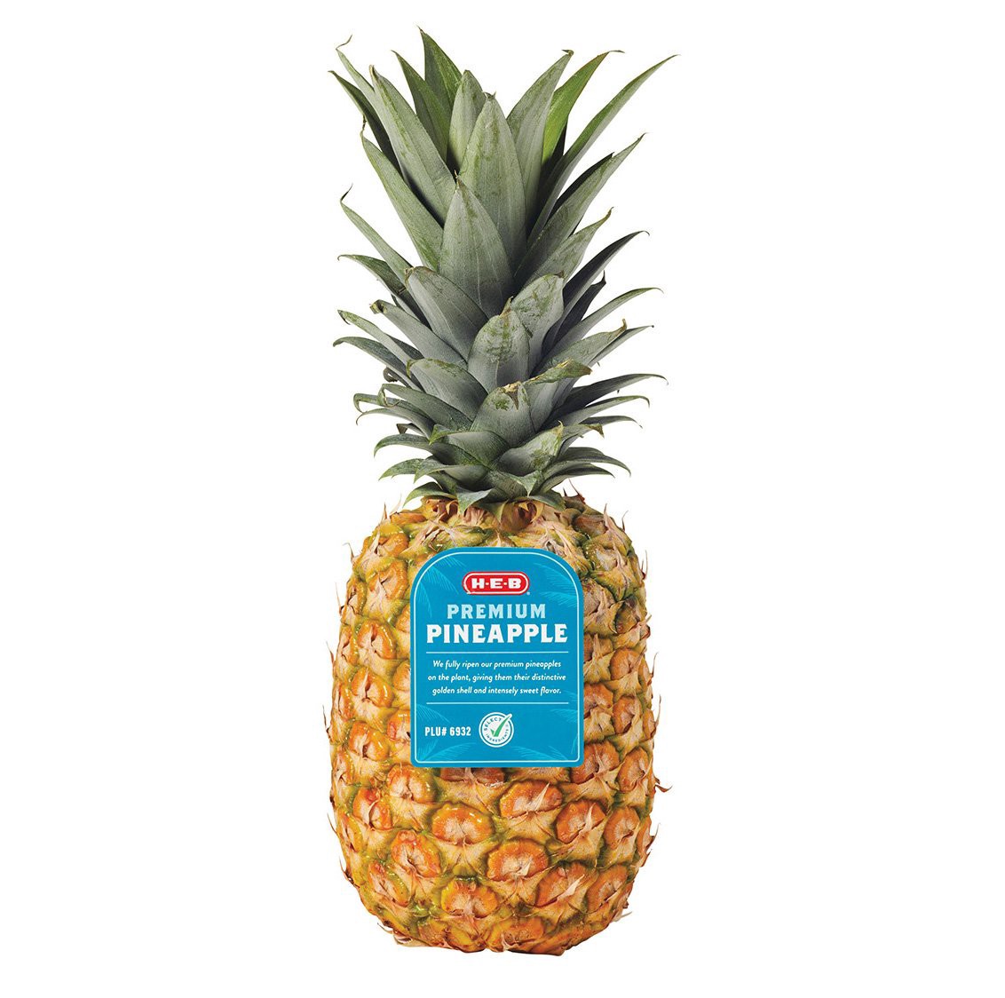 slide 1 of 1, H-E-B Fresh Premium Pineapple, 1 ct