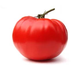 Kentwood,La Red Greenhouse/Hydroponic/Tomatoes,