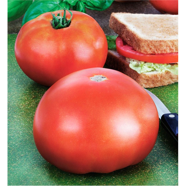 slide 4 of 5, Bonnie Plants Tomato - Parks Whopper, 19.3 oz