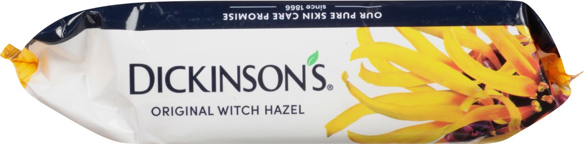 slide 6 of 13, Dickinson's Dickinson Cleansing Cloths, 25 ct