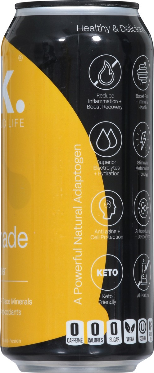 slide 14 of 14, blk. Sparkling Dirty Lemonade Fulvic Fusion - 16 fl oz, 16 fl oz