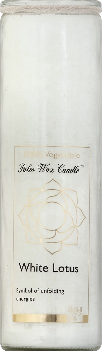 slide 1 of 3, Aloha Bay Candle 1 ea, 1 ct