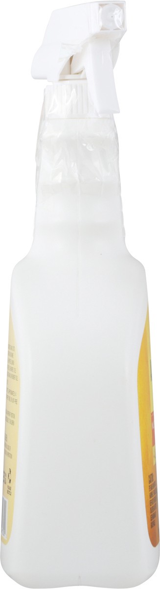 slide 2 of 9, Harris Teeter All Purpose Lemon Cleaner, 1 ct