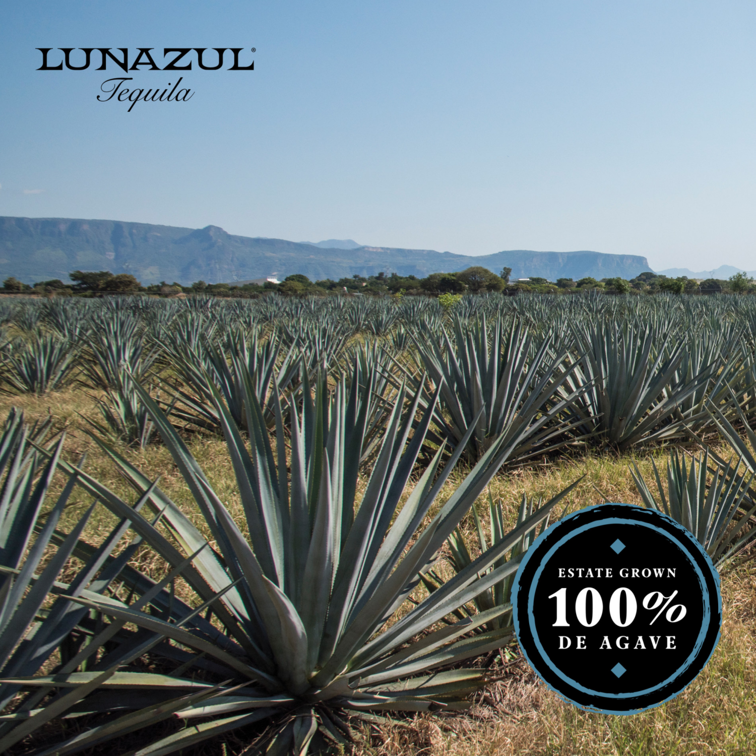 slide 5 of 5, Lunazul Blanco 100% De Agave Tequila 750 ml, 750 mL