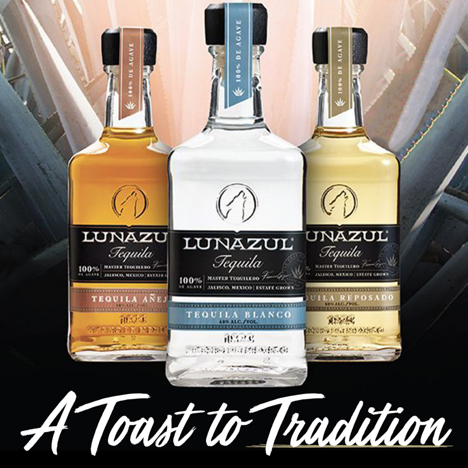 slide 7 of 8, Lunazul Tequila 750 ml, 750 ml