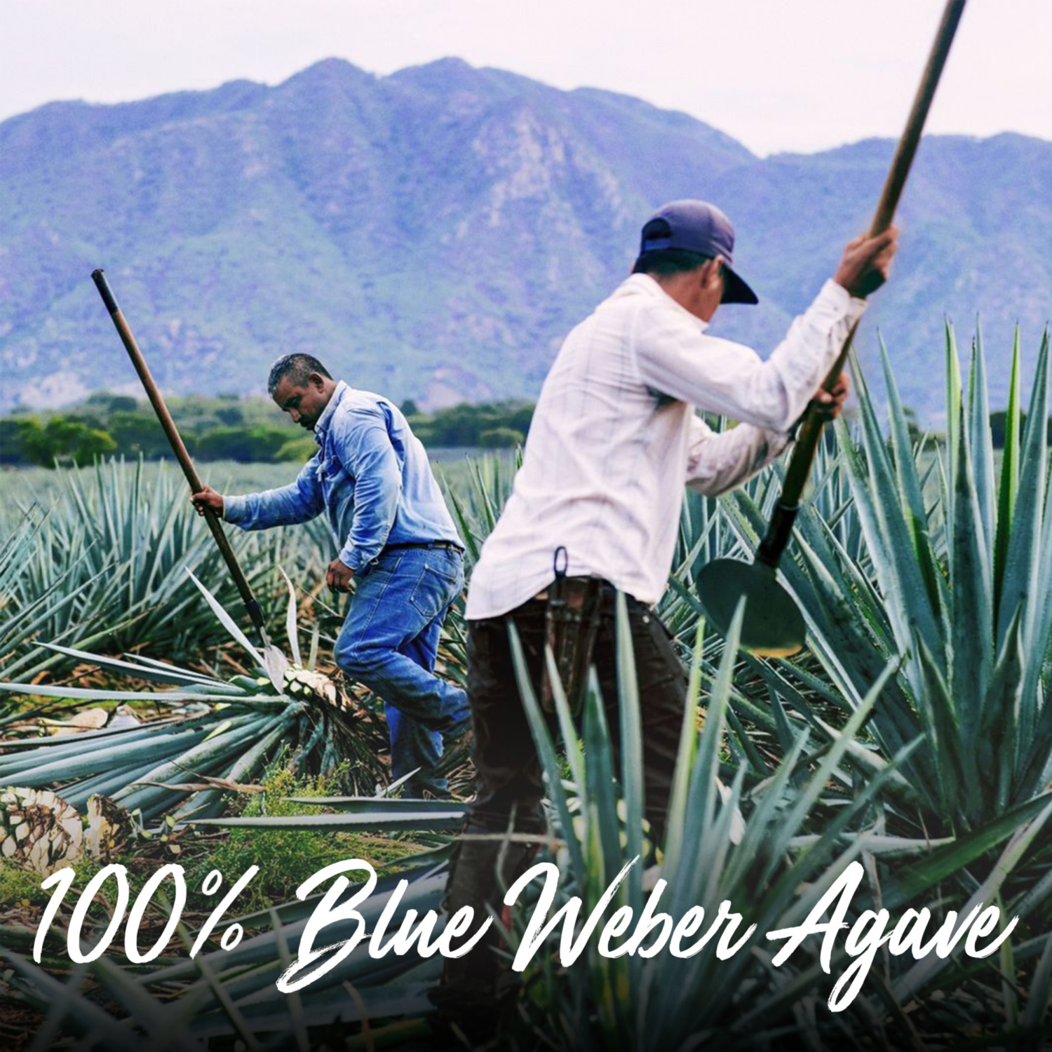 slide 8 of 8, Lunazul Tequila 750 ml, 750 ml