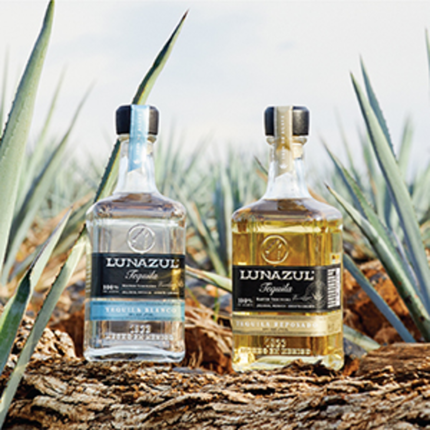 slide 3 of 5, Lunazul Reposado Tequila, 1.75 liter
