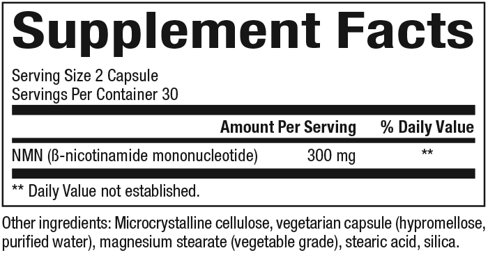slide 2 of 2, Natural Factors NMNSurge NAD+ Boost, 49 g