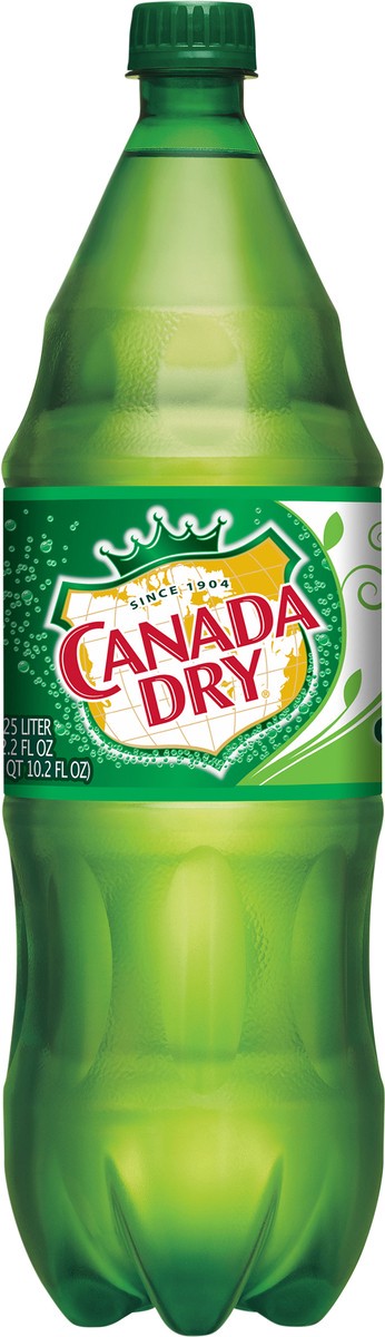 slide 2 of 7, Canada Dry Ginger Ale Soda, 1.25 L bottle, 42.26 fl oz