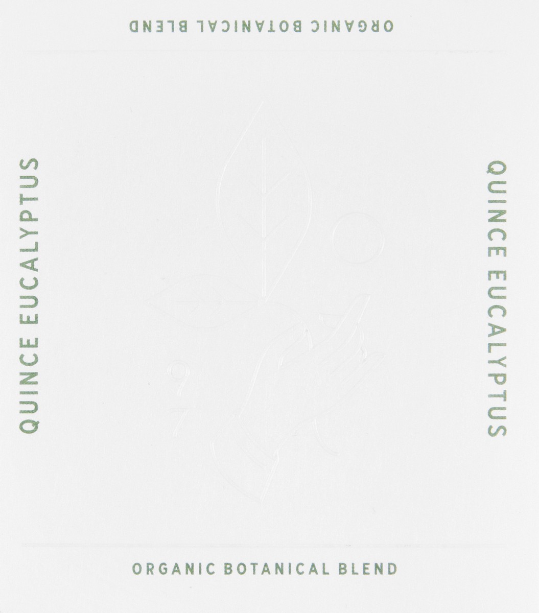 slide 5 of 12, Rishi Caffeine-Free Organic Sachets Quince Eucalyptus Tea - 15 ct, 15 ct