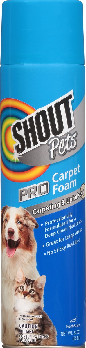 slide 2 of 11, Shout Pets Carpet Cleaning Foam, Fresh, 22 oz