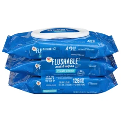 Giant Moist Wipes Fresh Scent - 3 pk (42 ct each)