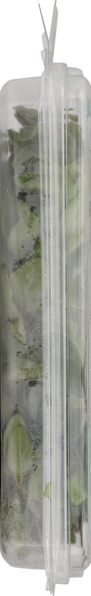 slide 6 of 8, Rock Garden Oregano 1 ea, 1 oz