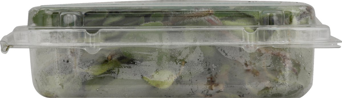 slide 5 of 8, Rock Garden Oregano 1 ea, 1 oz