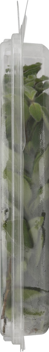 slide 2 of 8, Rock Garden Oregano 1 ea, 1 oz