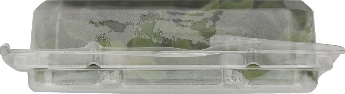 slide 4 of 8, Rock Garden Oregano 1 ea, 1 oz