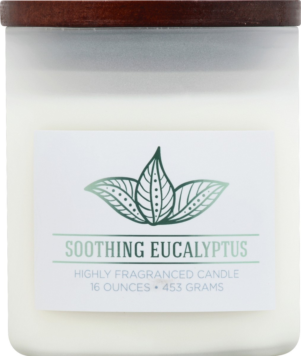 slide 3 of 3, Wellness Candle 1 ea, 1 ct