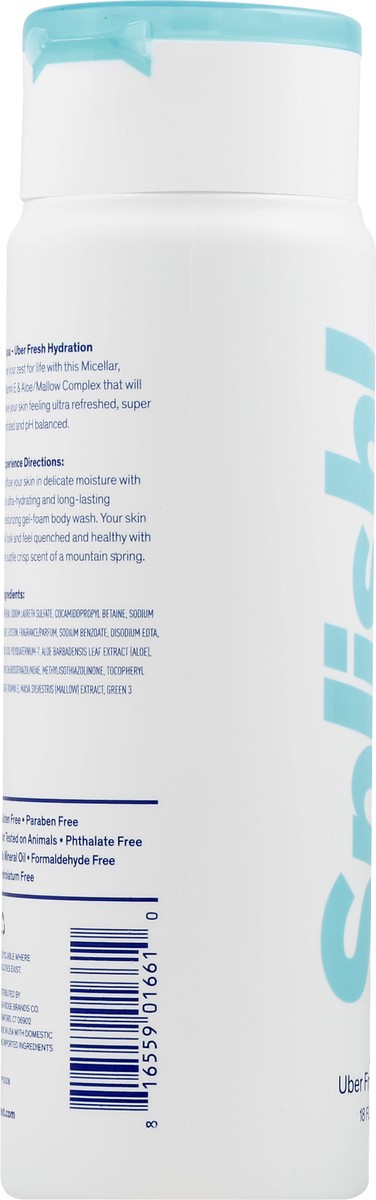 slide 2 of 10, Zest Aqua Splish Body Wash Aqua, 18 fl oz