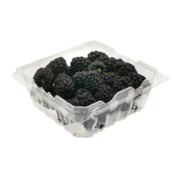 Fresh Blackberries