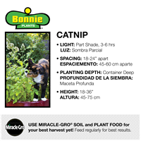 slide 8 of 9, Bonnie Plants  Catnip, 19.3 oz