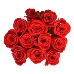 Fresh Red Roses - Dozen Bunch