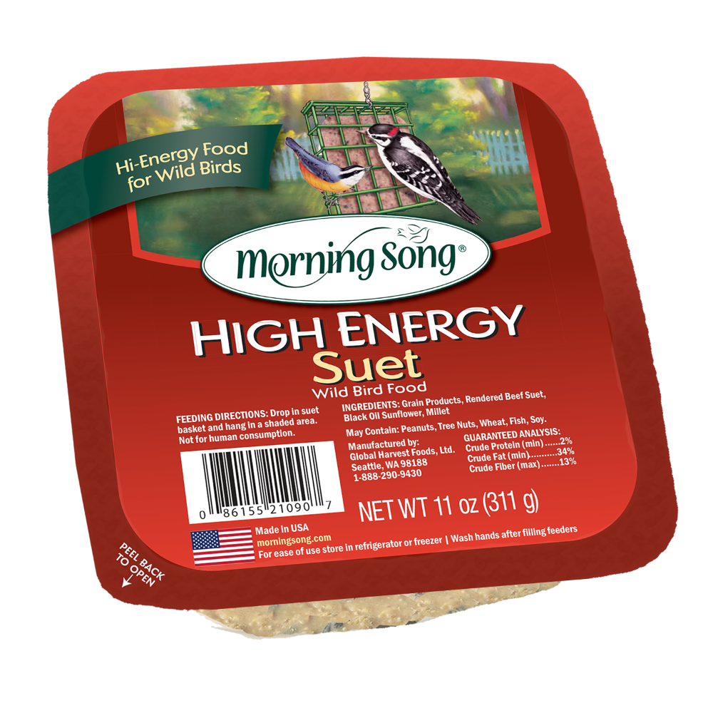slide 1 of 1, Morning Song High Energy Suet, 11 oz