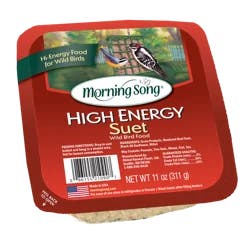 Morning Song High Energy Suet