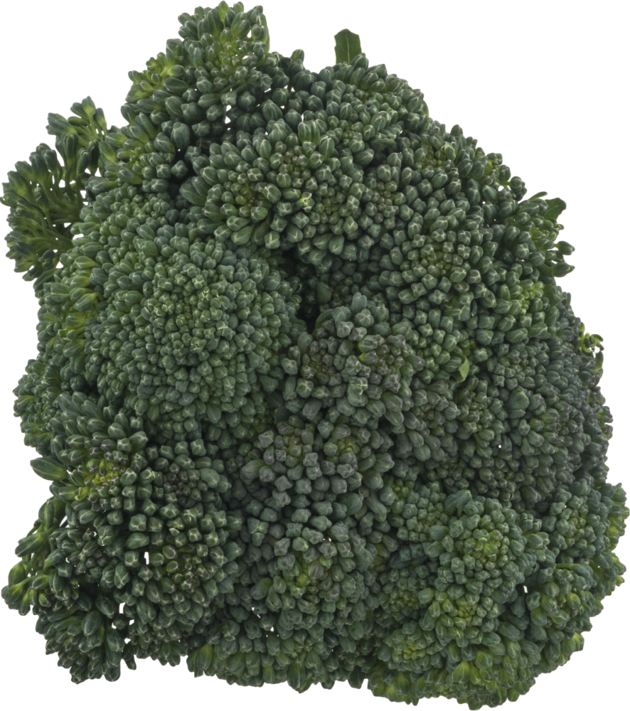 slide 4 of 4, Broccolini, 1 ct