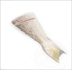 Fish-Steak Tile Fish Steak