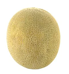 Fresh Cantaloupes
