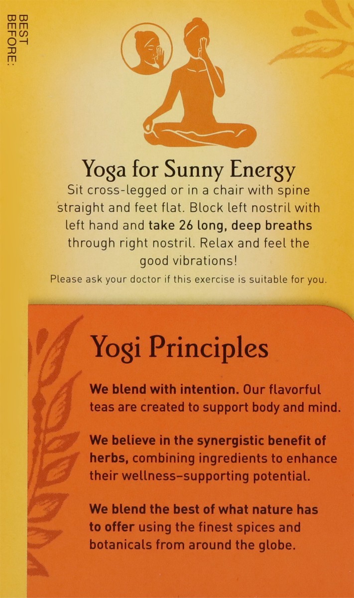 slide 2 of 9, Yogi Tea Bags Chai Rooibos Herbal Supplement 16 Tea Bags - 16 ct, 16 ct